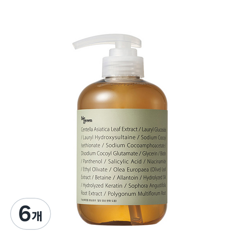 빅그린 헤어로스 시카 샴푸, 500ml, 6개