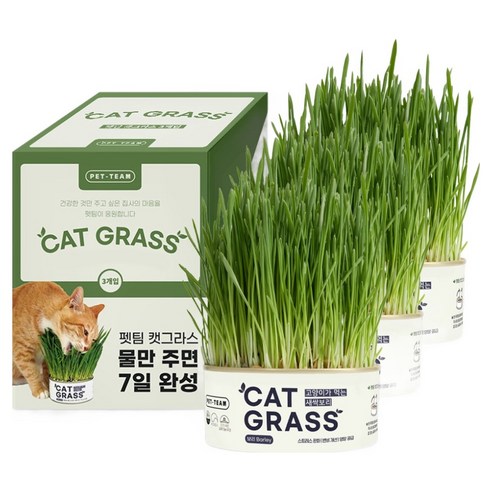 펫팀 고양이 캣그라스, 새싹보리, 200g, 3개