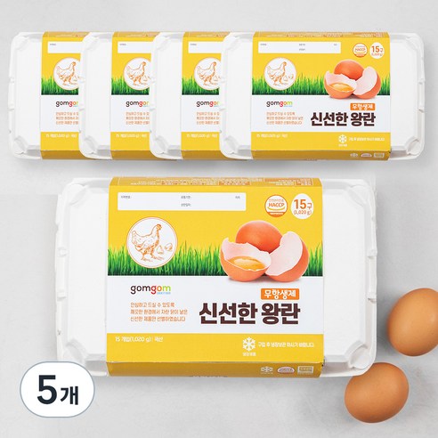 곰곰 무항생제 신선한 왕란, 15구, 5개