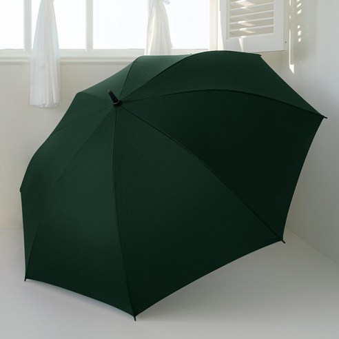 카르페디엠 골프우산 대형 75cm 058