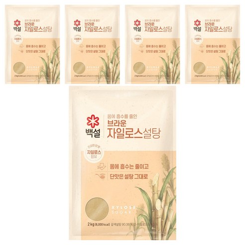 백설 자일로스 설탕, 5개, 2kg