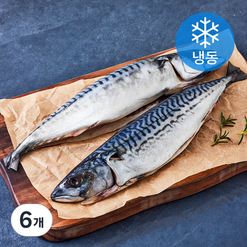 고등어청년 자반고등어 (냉동), 6개, 700g(미 당 350g 내외)