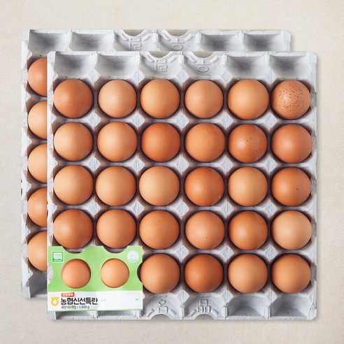 농협 무항생제 인증 신선 특란 3600g, 1개, 60구