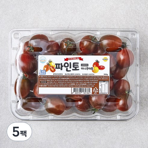파인토 스테비아 미니쿠마토, 500g, 5팩