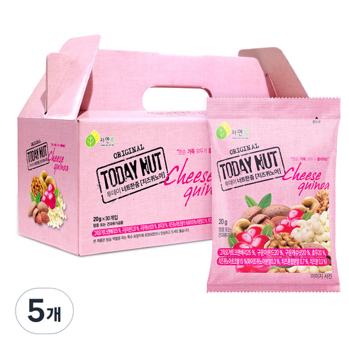 투데이넛 너트한줌 치즈퀴노아 견과 30개입, 600g, 5개
