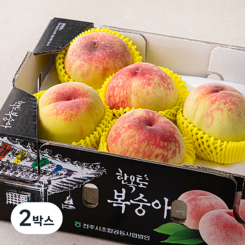 한옥토 GAP 전주 부드러운 백도 복숭아, 1.8kg(4~7입), 2박스