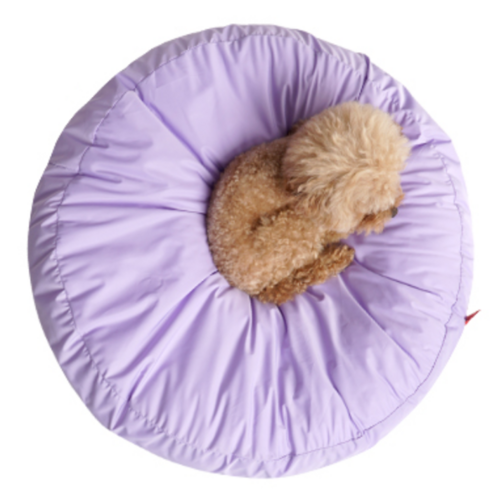 퍼피엔젤 쏘오옥 쿠션 쿨링 메모리 커버 세트 PA-BD189, 520 Purple