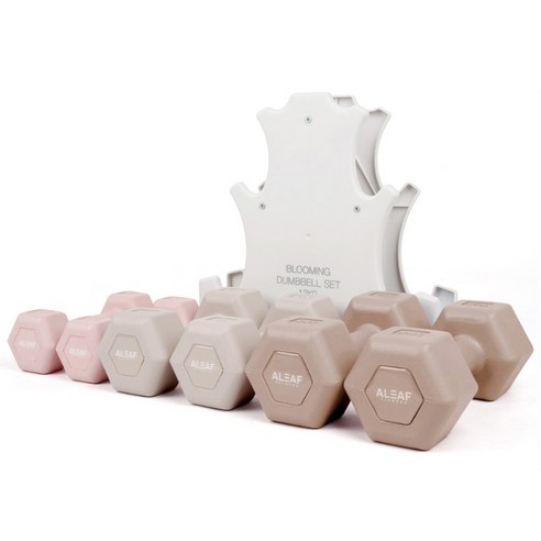 활력 넘치는 일상을 위한 홈트레이닝, 아리프 블루밍 아령 세트 12kg