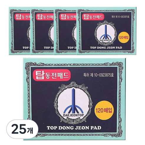 대전탑 탑동전패드 120p, 25개