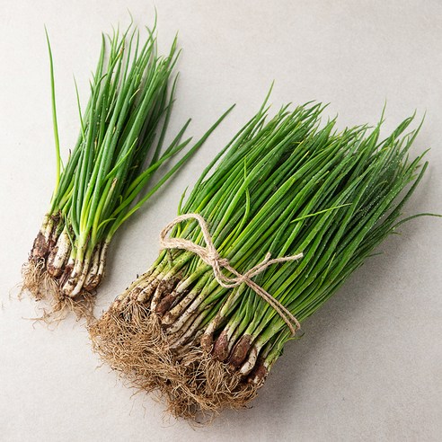 국내산 흙쪽파, 1kg, 1봉