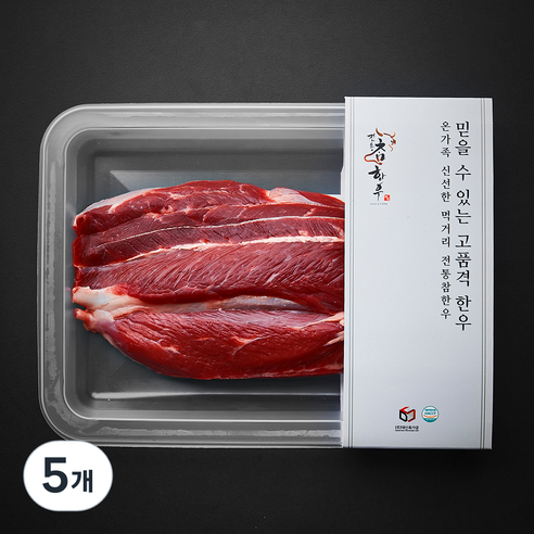 전통참한우 1+등급 사태 국거리 수육용 (냉장), 5개, 300g