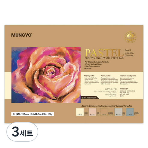 문교 파스텔 전용지 160g 소프트색 5종 x 4p 세트, A3, 3세트, 20매