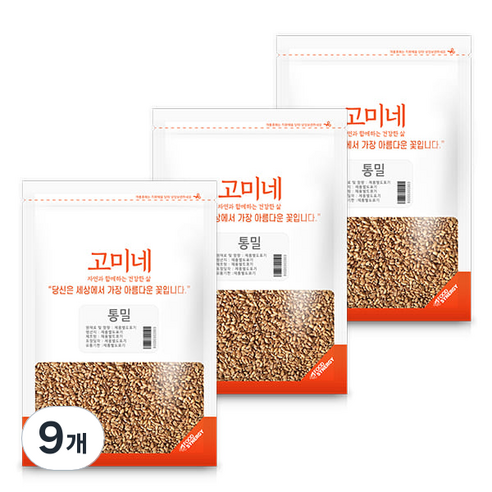 고미고미고미네 통밀, 9개