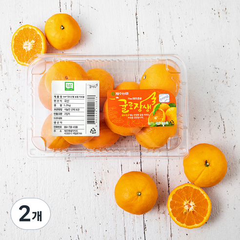 귤로장생 GAP 인증 당도선별 카라향, 1.2kg, 2개