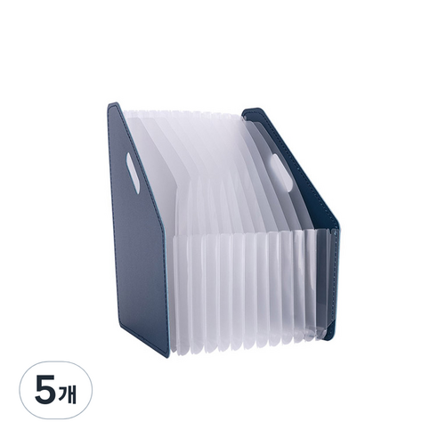 델리 아코디언 파일홀더 박스 63952, 블루, 5개