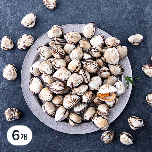 어부심 산지직송 갓 수확한 벌교 생물 새꼬막 (냉장), 1kg(중, 90~110알), 6개
