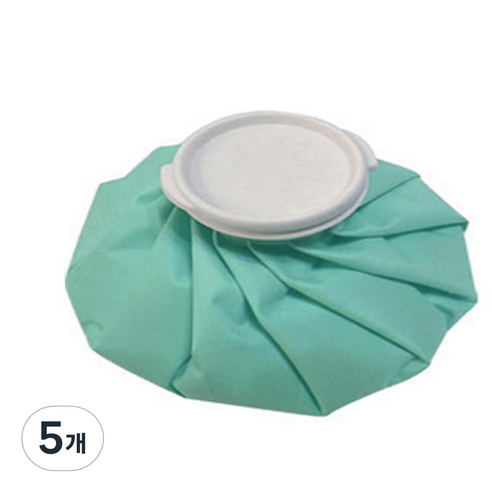 냉온 찜질 얼음주머니 L, 5개