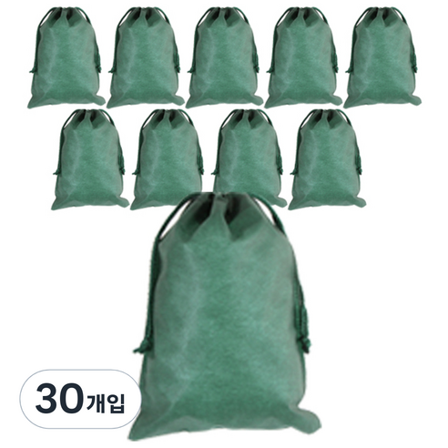 봄91 끈조리개 부직포백 20 x 28 cm, 그린, 30개입