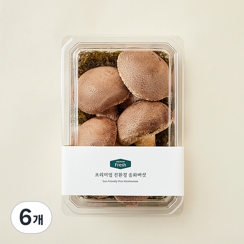 친환경 인증 프리미엄 송화버섯, 220g, 6개