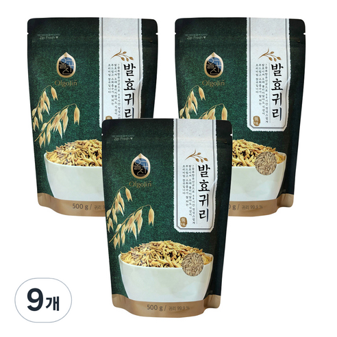 올고진 발효 귀리, 500g, 9개