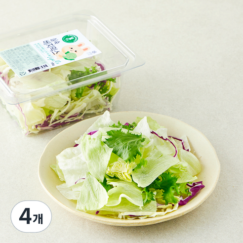 그린래빗 실속 베지믹스, 100g, 4개