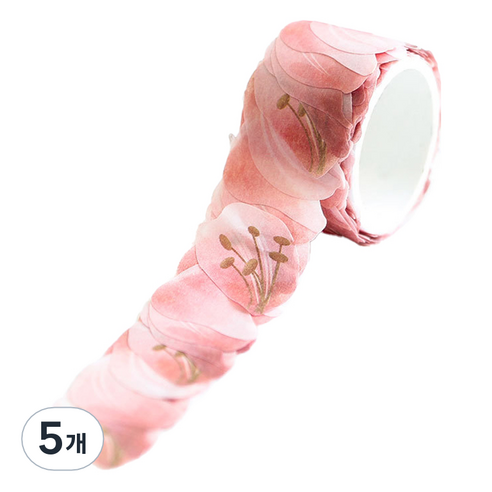 라이크존 접착 종이 마스킹테이프, 타입9, 5개