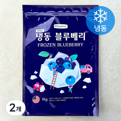 웰프레쉬 미국산 블루베리 (냉동), 2개, 1kg