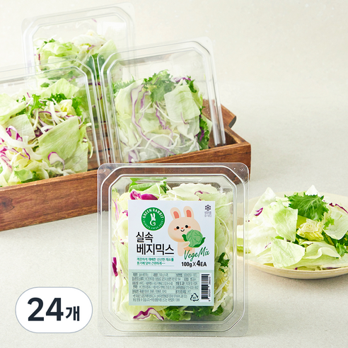 그린래빗 실속 베지믹스, 100g, 24개