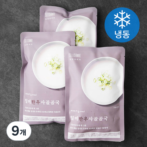 일상적미식 일미 한우사골곰국 (냉동), 500g, 9개