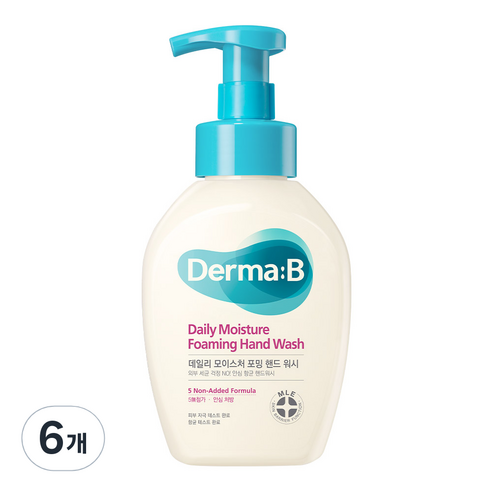 더마비 데일리 모이스처 포밍 핸드워시, 6개, 500ml