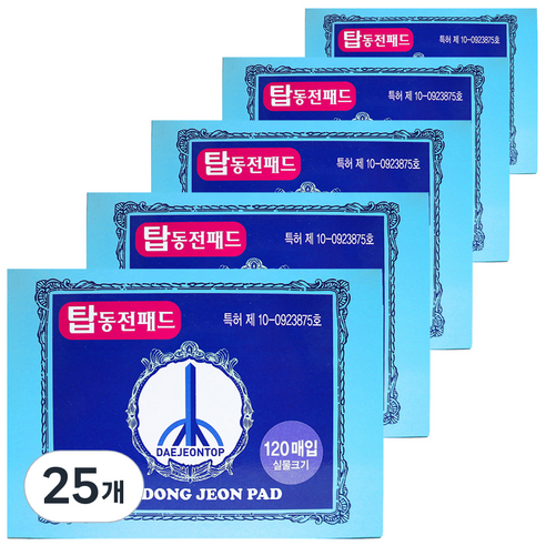대전탑산업 탑동전패드, 25개