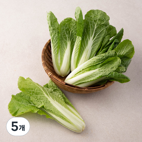 국내산 예냉 솎음, 300g, 5개