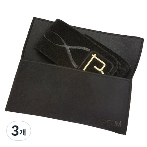 바름 바른자세 밴드 하체형 TM-L01 + 전용 파우치, 3개