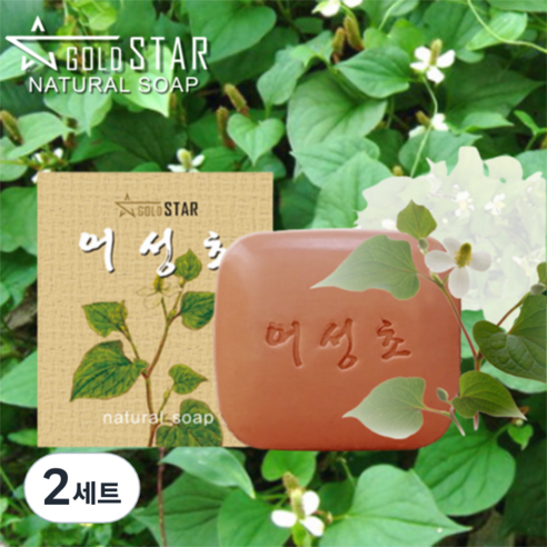 골드스타 야생 어성초 100g 팔라완 천연노니 set + 비누거품망, 2세트