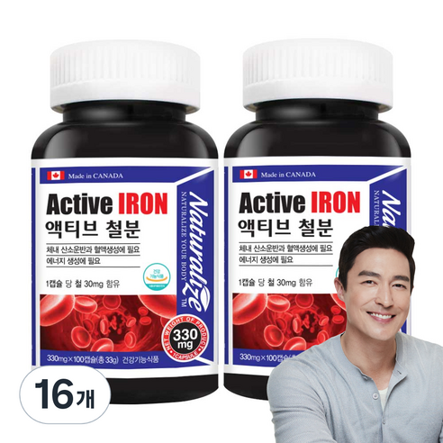 네추럴라이즈 액티브 철분 33g, 100정, 16개