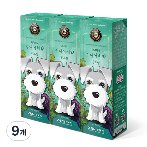 제니튼 주니어 치약 민트향, 60g, 9개