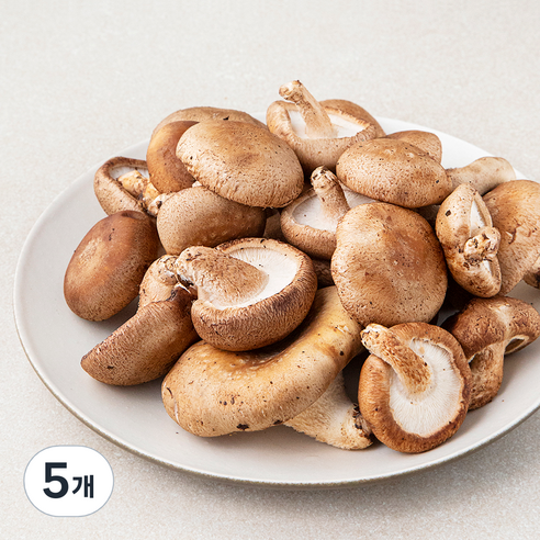 못생겨도 맛있는 표고버섯, 500g, 5개