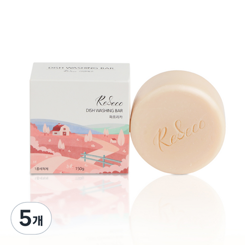 리앤에코 주방 설거지 워싱바, 150g, 5개