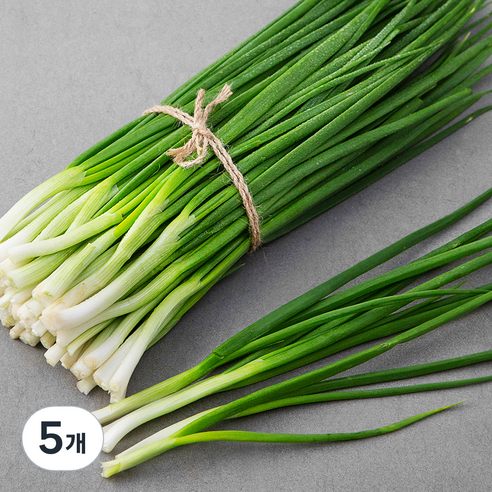 친환경 제주 깐쪽파, 500g, 5개