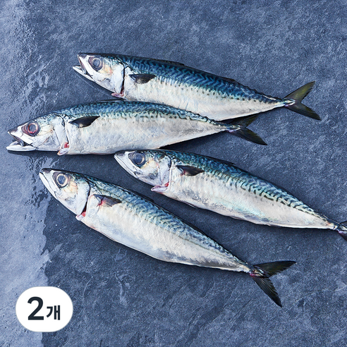 부산 간고등어 2손 해동 (냉장), 2개, 900g(대)
