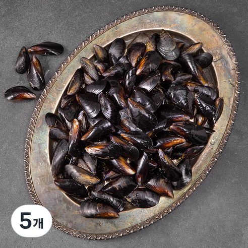 남해안 산지직송 생물 홍합 (냉장), 2kg, 5개