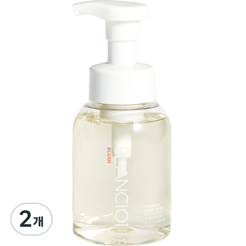 블랑101 핸드워시 블러쉬, 280ml, 2개