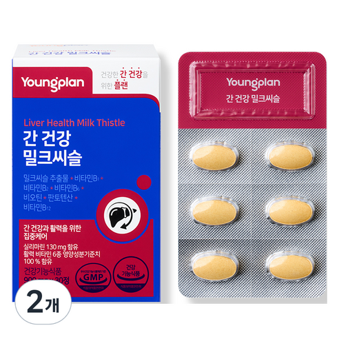 영진약품 간 건강 밀크씨슬 비타민B 비오틴 판토텐산 실리마린 27g, 2개, 30정