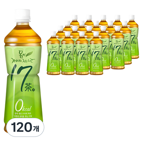 17차 몸이 가벼워지는 시간, 500ml, 120개