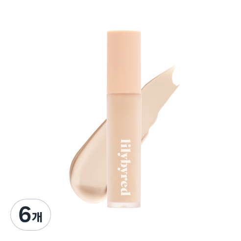 릴리바이레드 마그넷 핏 리퀴드 컨실러 8g, 19 퓨어핏, 6개