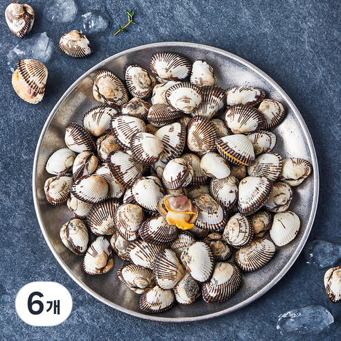 아라보감 산지직송 생물 새꼬막 (냉장), 6개, 1kg