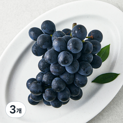 산들이랑 비파괴당도선별 거봉, 1kg, 1개