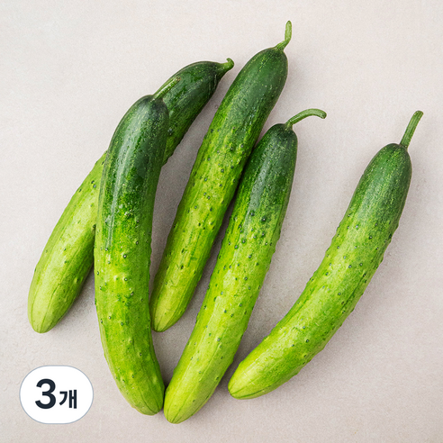 국내산 친환경 오이, 5개입, 3개