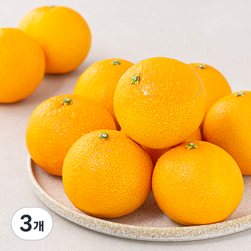 아주마 산지직송 효소로키운 제주 황금향, 1.5kg, 3개