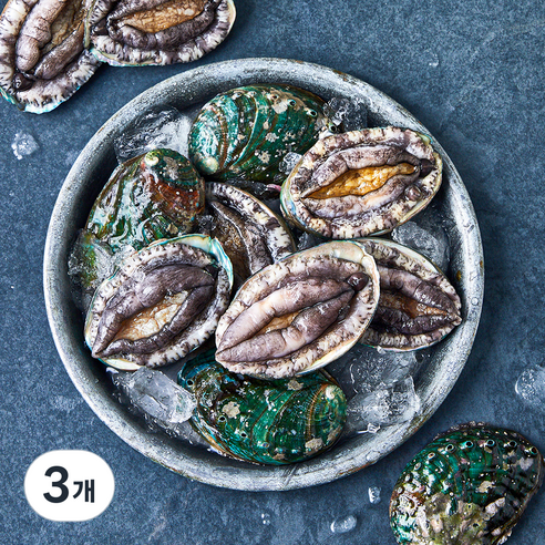 완도맘 활전복 (냉장), 500g 내외(중, 10마리), 3개